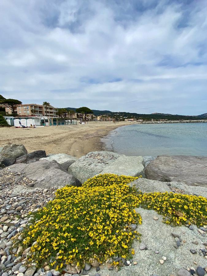 Studio 150 M De Plage Golfe De Saint-Tropez Cavalaire-sur-Mer Exterior photo